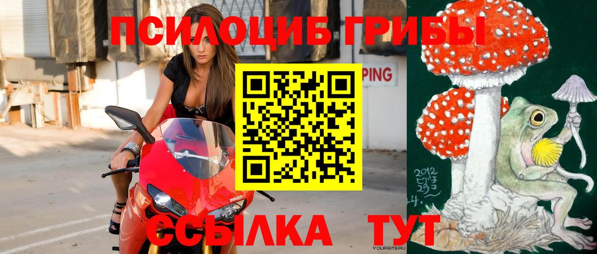 Гагарин  Галлюциногенные грибы MAGIC MUSHROOMS  цены наркотик  Вход с VPN 